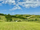 Weekend all’insegna dei sapori di Emilia: tanti appuntamenti tra Piacenza e Parma
