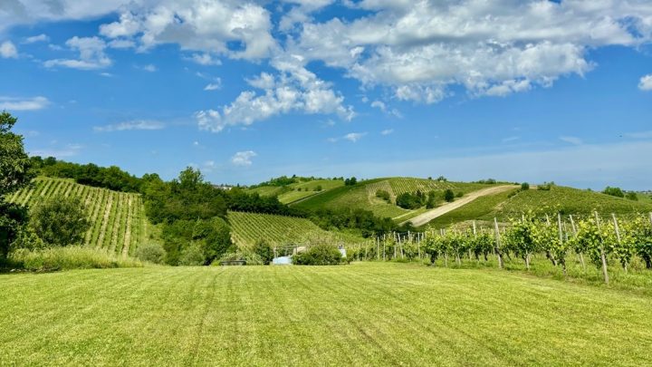 Weekend all’insegna dei sapori di Emilia: tanti appuntamenti tra Piacenza e Parma