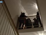 A Piacenza 16 indagati per corruzione e concussione nella sanità
