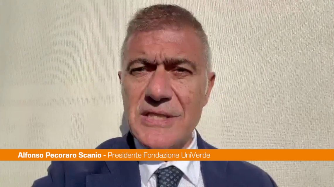 Alluvione Spagna, Pecoraro Scanio “Serve protezione civile europea” Alluvione Spagna, Pecoraro Scanio “Serve protezione civile europea”