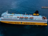 29 balenottere avvistate in un solo viaggio su Corsica Sardinia Ferries