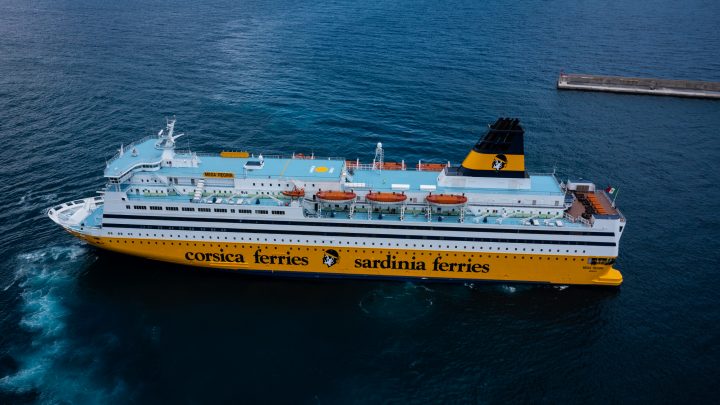 29 balenottere avvistate in un solo viaggio su Corsica Sardinia Ferries