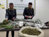 Sequestrata a Benevento piantagione canapa indiana e 50 kg marijuana