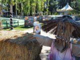 Halloween for family a Zoomarine. Un mese da brividi con super novità: Zombie Camp e Zombie Paintaball