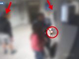 Milano, rapine di orologi di lusso. Arrestato rapinatore seriale