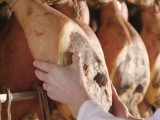 Il mercato canadese riapre ai prosciutti crudi italiani