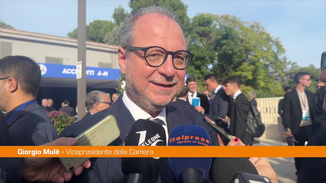 Mulè “Forza Italia deve continuare a essere riferimento dei moderati” Mulè “Forza Italia deve continuare a essere riferimento dei moderati”