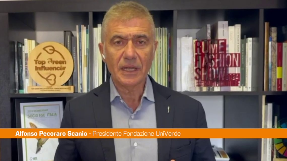 Pecoraro Scanio “Tutelare alberi essenziali contro crisi climatica” Pecoraro Scanio “Tutelare alberi essenziali contro crisi climatica”