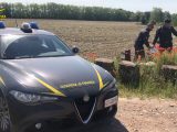 Alessandria, scoperta discarica di rifiuti speciali nel tortonese