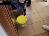 Blitz Polizia contro la criminalità giovanile, 37 arresti