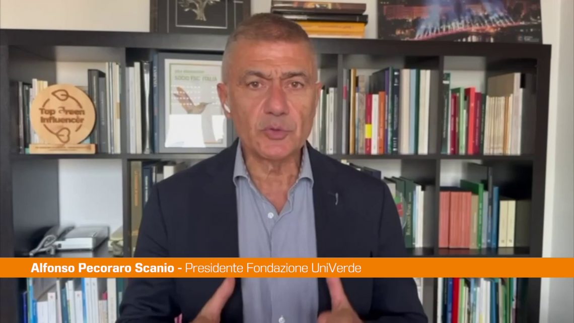 Pecoraro Scanio “Il turismo delle radici è una grande opportunità” Pecoraro Scanio “Il turismo delle radici è una grande opportunità”