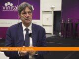 Zoppas “Vinitaly.Usa favorisce il business matching”