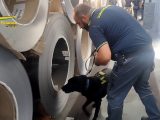 Importavano acciaio evadendo tributi, sequestro a Ferrara