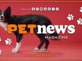 PetNews Magazine – 29/10/2024