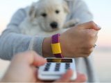 Intesa Sanpaolo e Mastercard con Tapster, arriva il Payment Bracelet