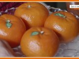Sorsi di benessere – Quando l’acqua aromatizzata diventa funzionale