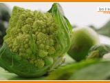 Sorsi di benessere – Crema di broccolo romanesco? Ecco come prepararla