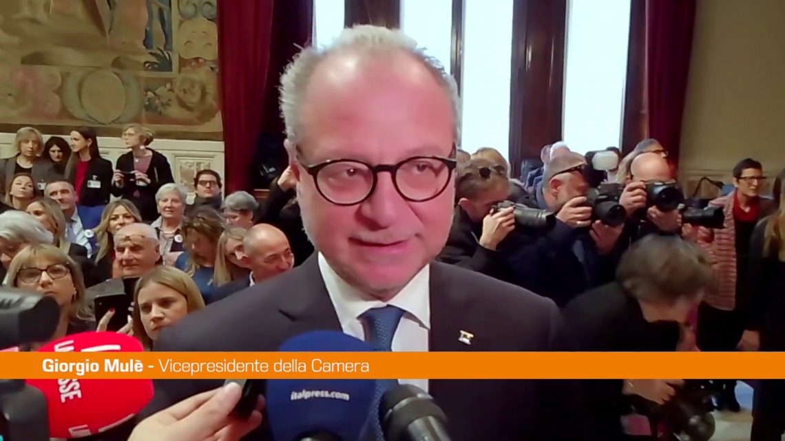 Fondazione Cecchettin, Mulè “Contro violenza genere nuovo approccio” Fondazione Cecchettin, Mulè “Contro violenza genere nuovo approccio”