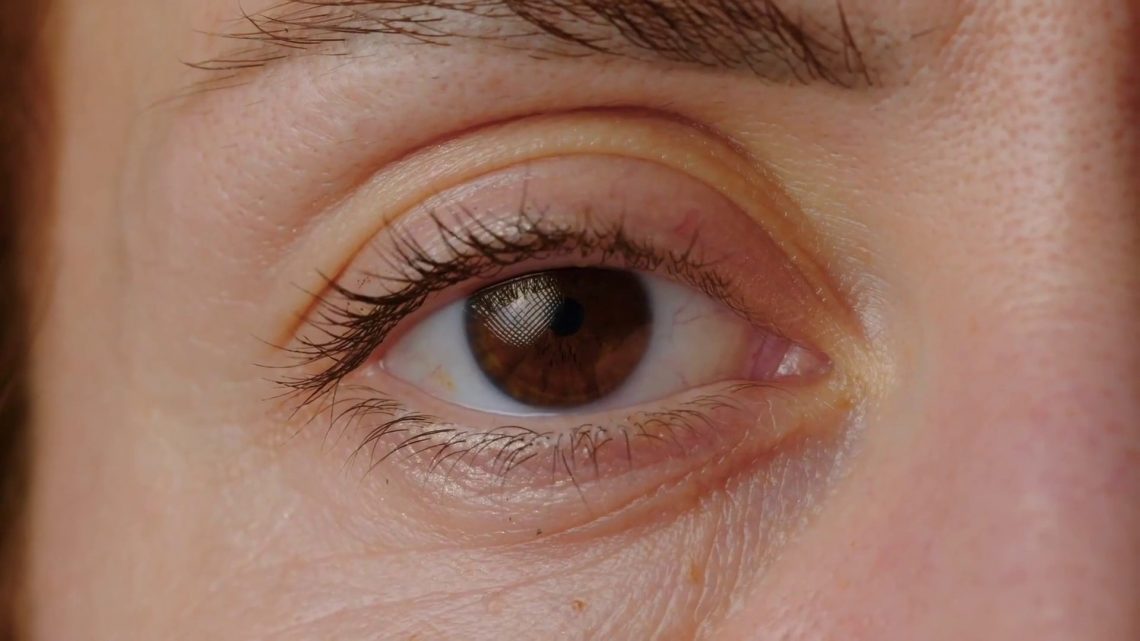 Malattie della retina, lo screening per scongiurare danni più gravi Malattie della retina, lo screening per scongiurare danni più gravi