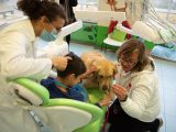 Basta una zampa: a Torino dal dentista si va con il cane