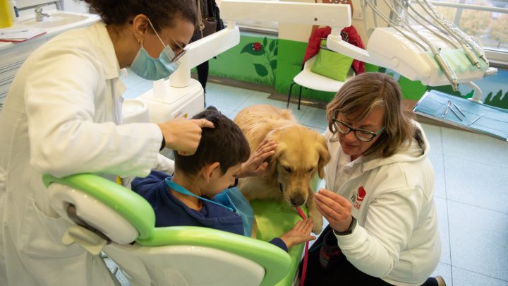 Basta una zampa: a Torino dal dentista si va con il cane