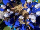 A Rotonda la “Festa di fine raccolto” della melanzana rossa dop e del fagiolo bianco dop con gli alunni delle scuole.