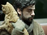Ombre Sonore proietta “A proposito di Davis” al Camera Film di Pomigliano