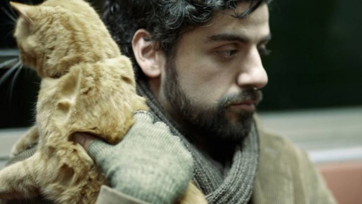 Ombre Sonore proietta “A proposito di Davis” al Camera Film di Pomigliano
