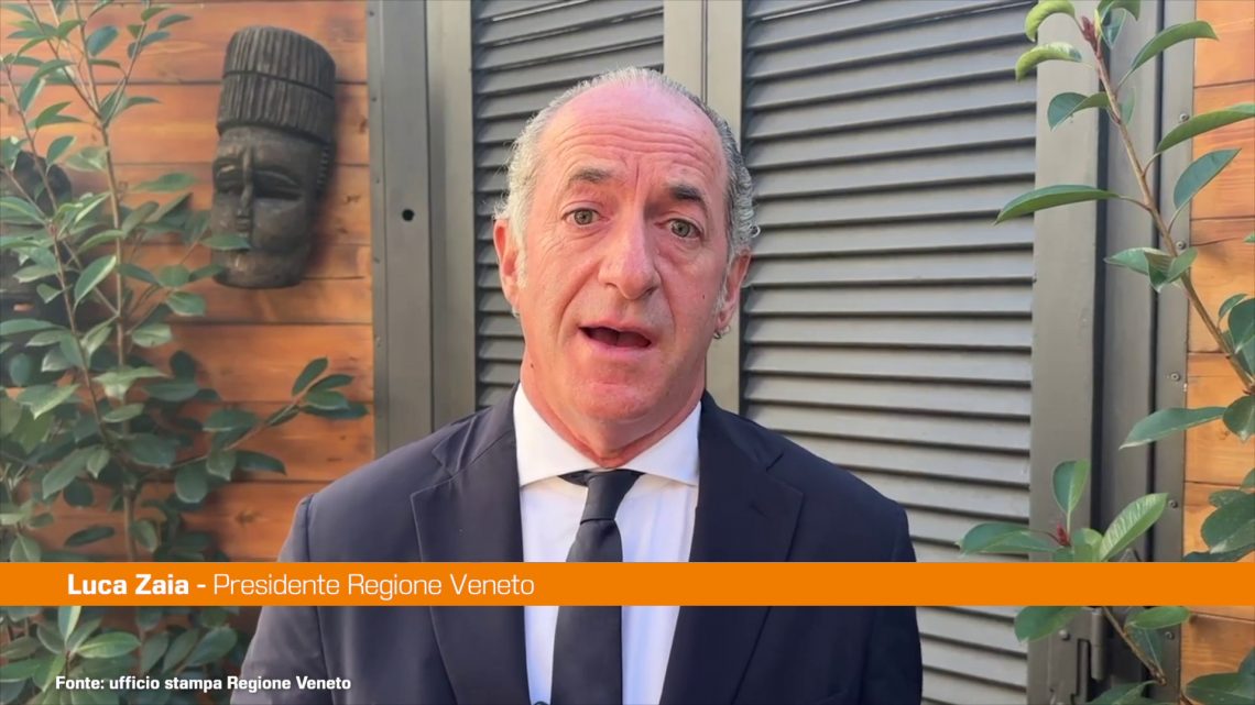 Autonomia, Zaia “Il referendum andrà a finire male” Autonomia, Zaia “Il referendum andrà a finire male”