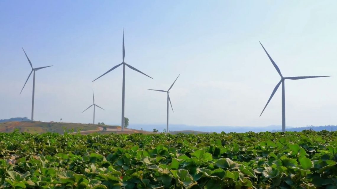 Nasce il Consiglio europeo per l’agricoltura e l’alimentazione Nasce il Consiglio europeo per l’agricoltura e l’alimentazione