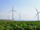 Nasce il Consiglio europeo per l’agricoltura e l’alimentazione