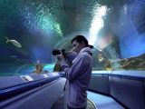 Il turismo mondiale recupera i livelli pre-covid