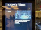 Mastroianni, l’omaggio al Moma di New York a 100 anni dalla nascita