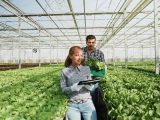 Agricoltura, Italia prima in Europa per valore aggiunto