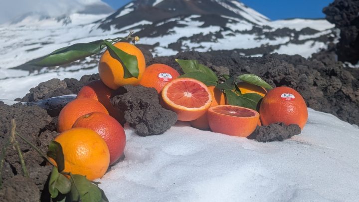 L’Etna si tinge di arancio: il Consorzio di Tutela dell’Arancia Rossa di Sicilia IGP sale sulle vette e rende omaggio al vulcano per il nuovo raccolto 2024-2025.