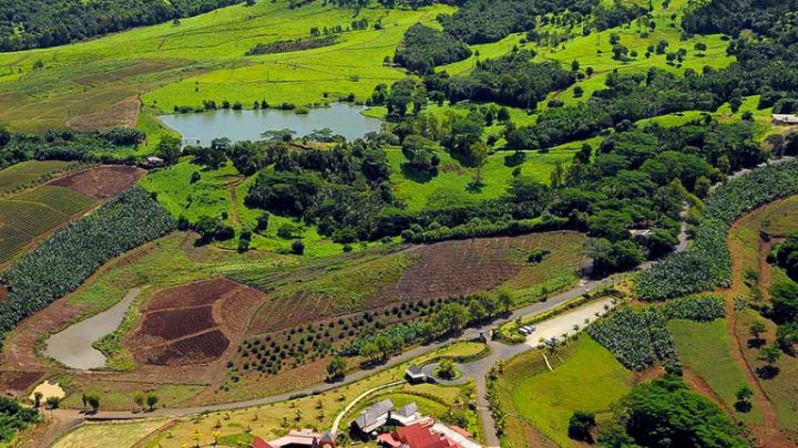 IG Mauritius, l’italiana CSQA dietro le prime due Indicazioni geografiche