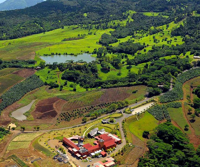 IG Mauritius, l’italiana CSQA dietro le prime due Indicazioni geografiche IG Mauritius, l’italiana CSQA dietro le prime due Indicazioni geografiche