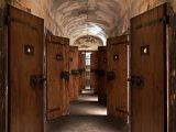 Giornata della Memoria a Firenze, iniziative speciali e visite guidate