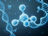 Al via il progetto Genome of Europe