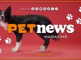 PetNews Magazine – 21/1/2025
