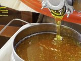 Vicenza, sequestrate 22 tonnellate di miele senza tracciabilità
