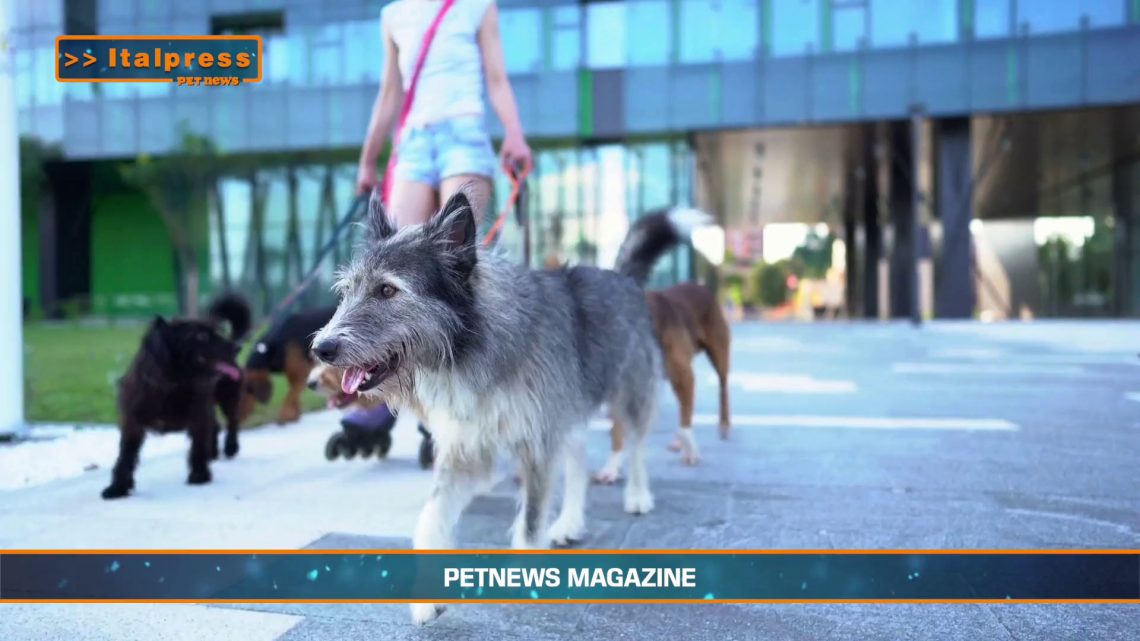 PetNews Magazine – 18/2/2025 PetNews Magazine – 18/2/2025