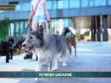 PetNews Magazine – 18/2/2025
