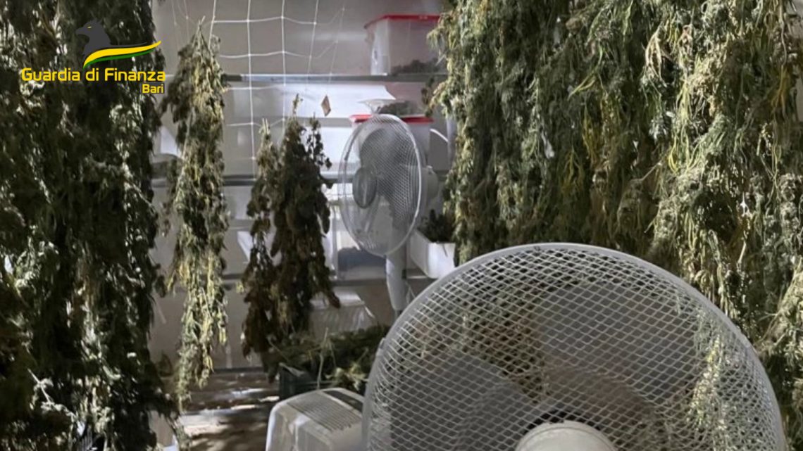 Sequestrati a Bari 610 chili di marijuana, due indagati Sequestrati a Bari 610 chili di marijuana, due indagati