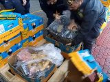 Sequestrati 27 chili di cocaina al porto di Gioia Tauro