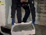 Sequestrati 800 chili di pesce non tracciato nel Palermitano