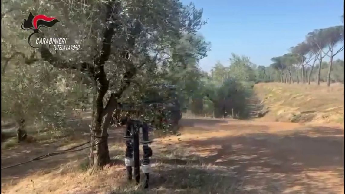 Favorivano immigrazione clandestina, 36 arresti in Campania Favorivano immigrazione clandestina, 36 arresti in Campania