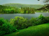 Ambiente: la biodiversità cerca soldi a Roma