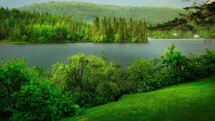 Ambiente: la biodiversità cerca soldi a Roma