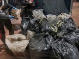 Sequestrati a Catania 250 chili di marijuana